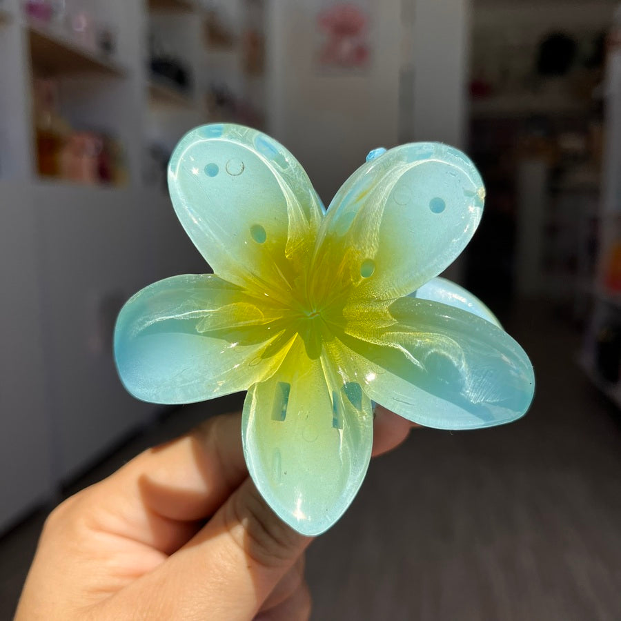 Pinza hawaiana grande clásica