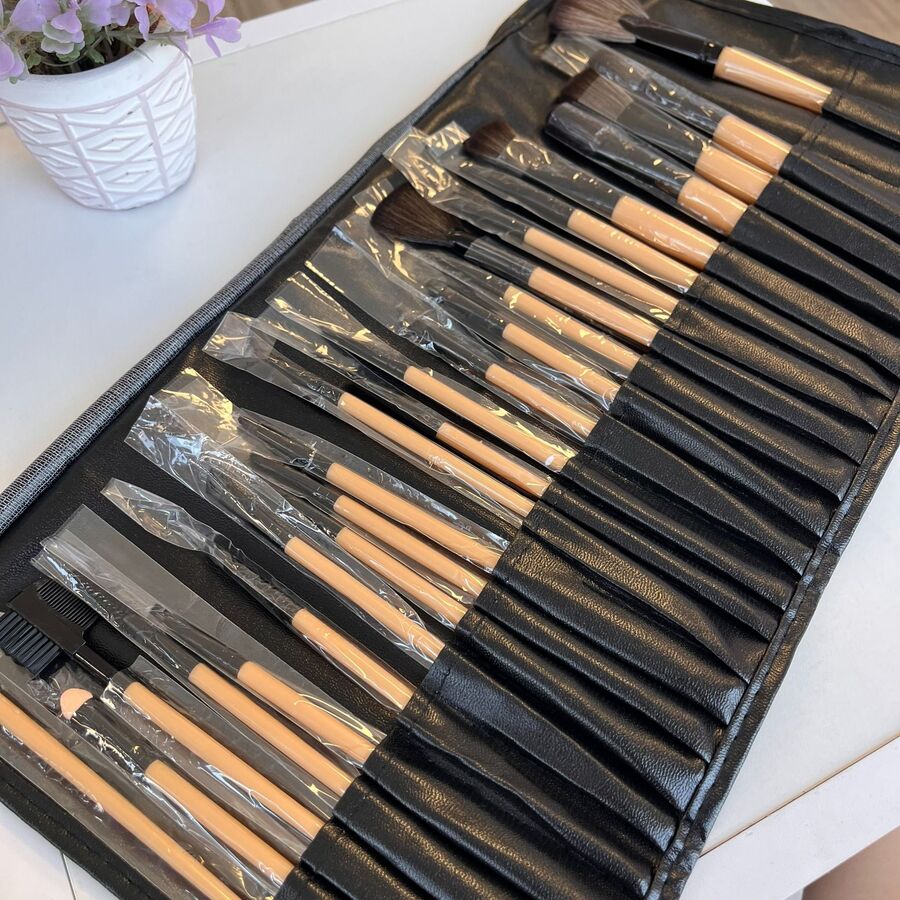 Set x24 brochas profesional