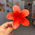 Pinza hawaiana grande clásica