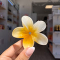 Pinza hawaiana grande