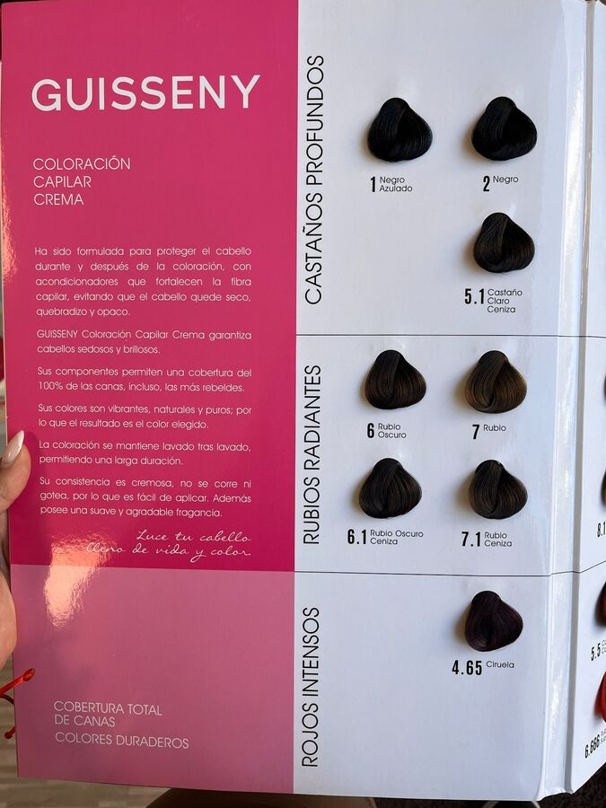 Tinta Guisseny