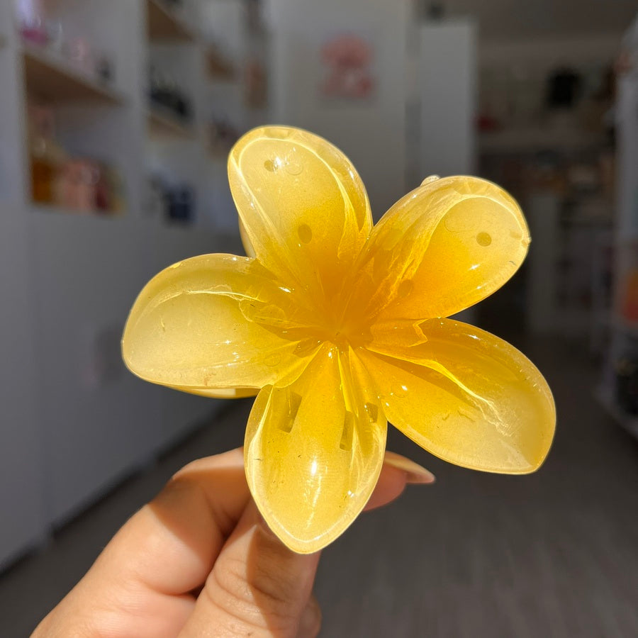 Pinza hawaiana grande clásica