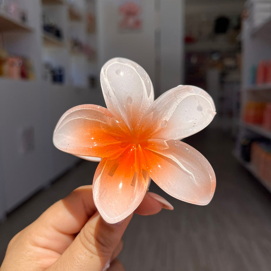Pinza hawaiana grande clásica