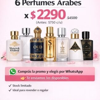 6 perfumes arabes de 100ml